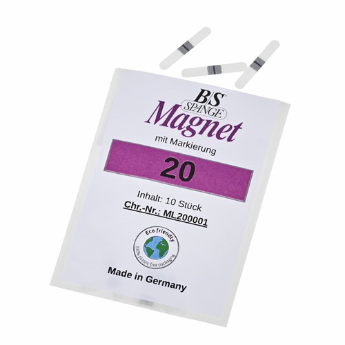 Spange Magnet Storl. 20, 10 st
